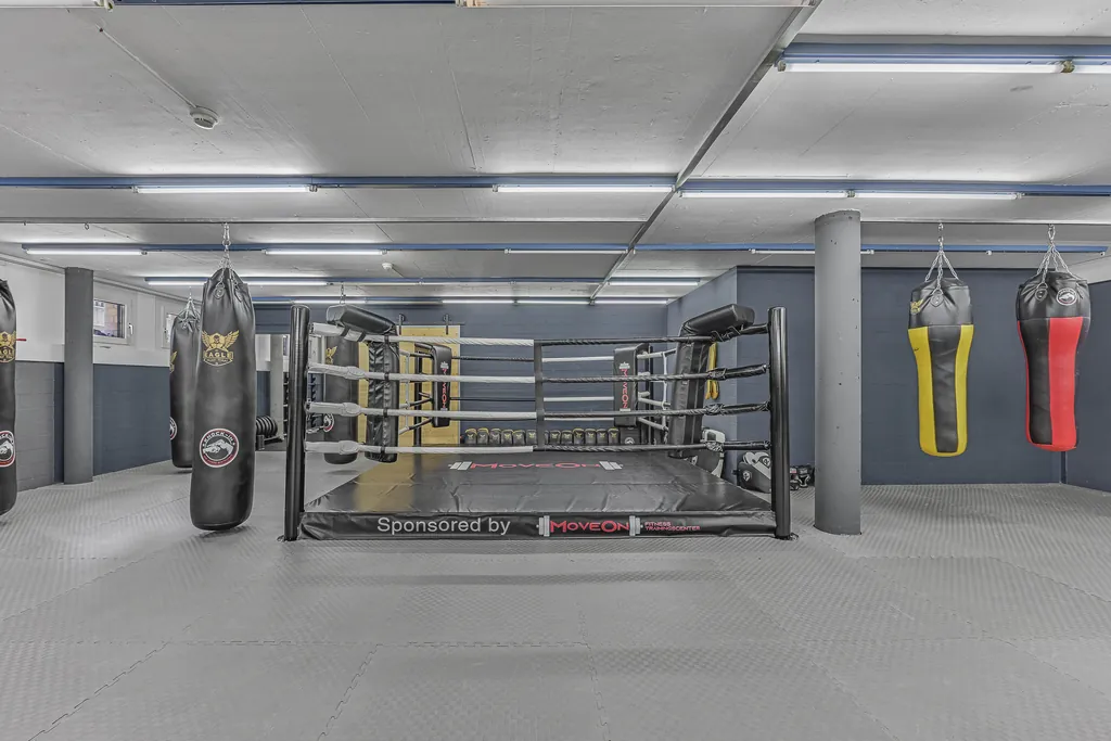 Boxring